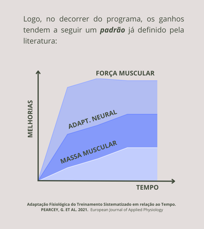 Parab Ns Princ Pios Da Muscula O Hipertrofia Impulse Consulting